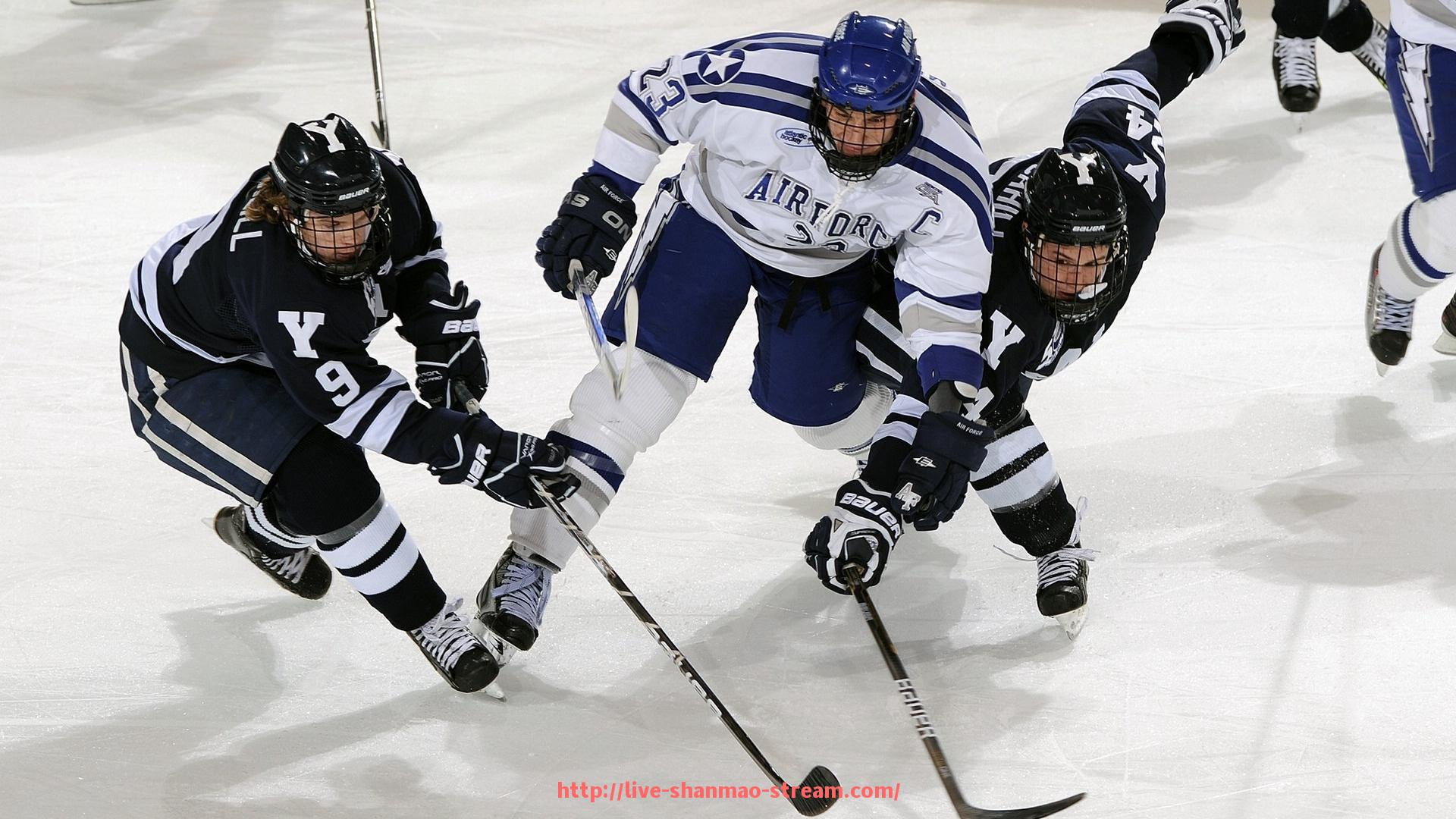 山猫直播官网-世俱杯比赛视频回放中心建设方案及技术支持细节