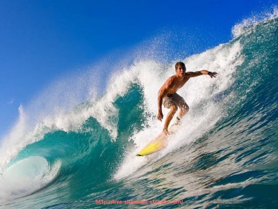 山猫直播官网-广东健身器材公司布局及区域市场竞争态势研究