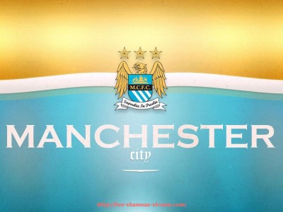 山猫直播官网-世俱杯球衣印号字体规范与品牌识别一致性分析