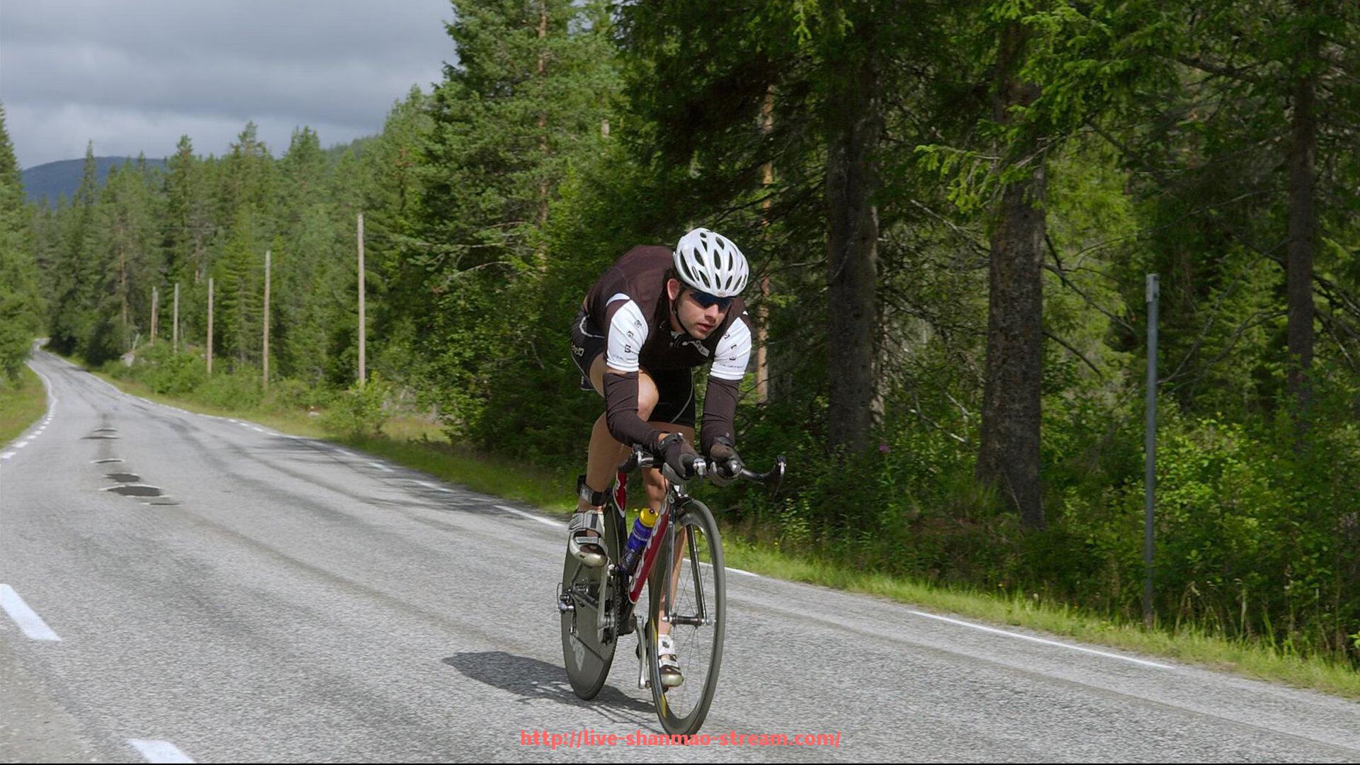 山猫直播官网-战术进化视角下的世俱杯球队阵型变化全记录